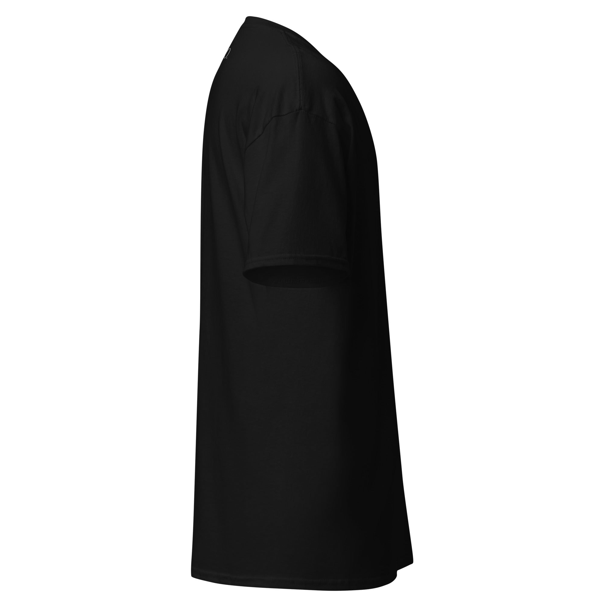 Krist je Kralj (svjetlo print)