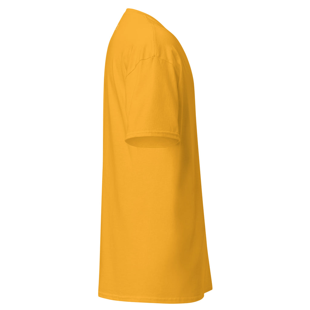 Krist je Kralj (svjetlo print)