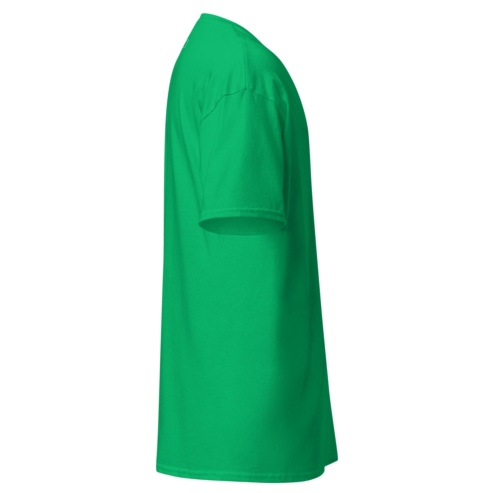 Krist je Kralj (svjetlo print)