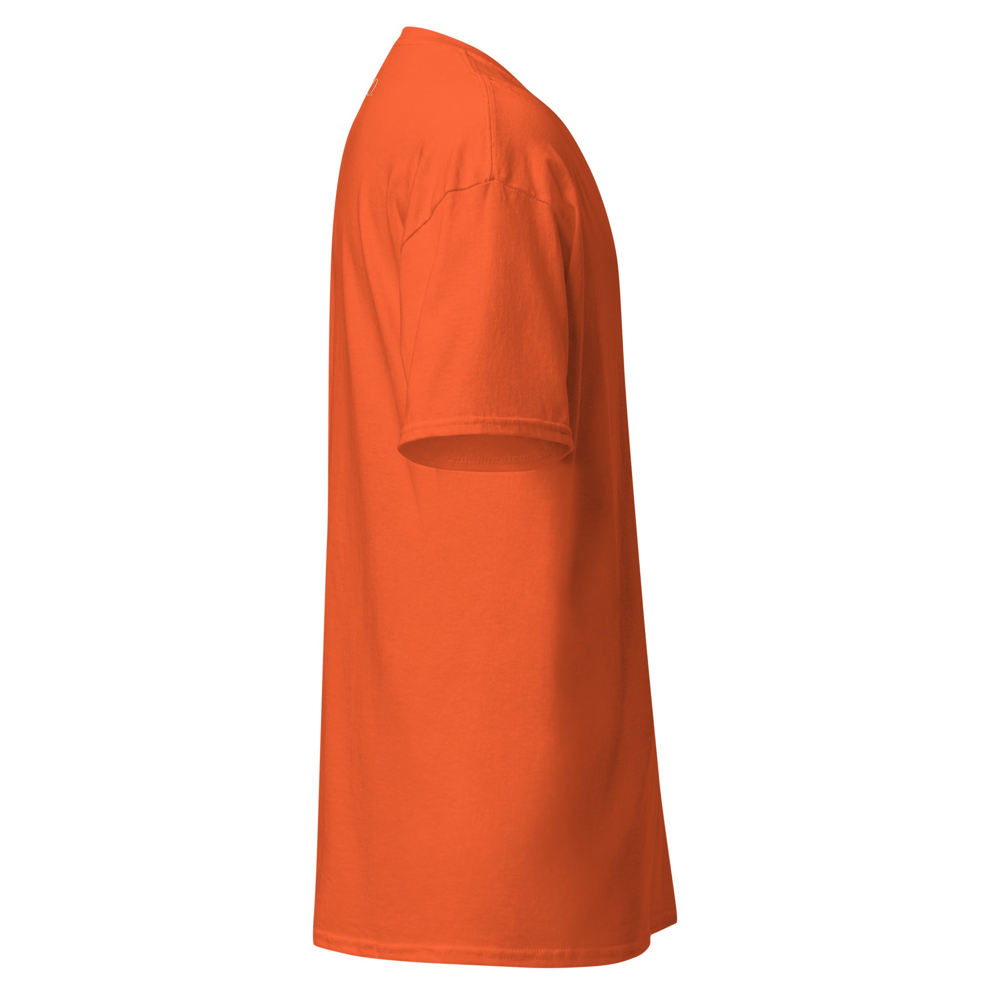 Krist je Kralj (svjetlo print)